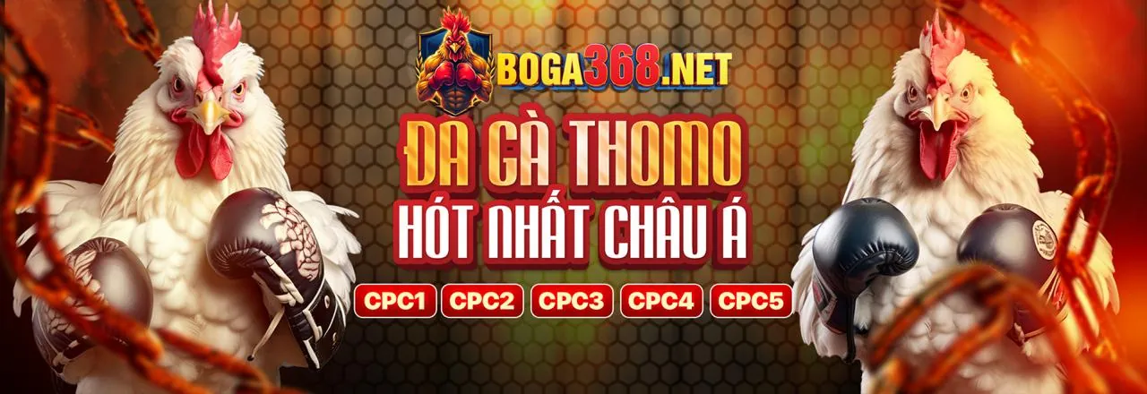 Dịch vụ hỗ trợ khách hàng chuyên nghiệp của hbet nhà cái
